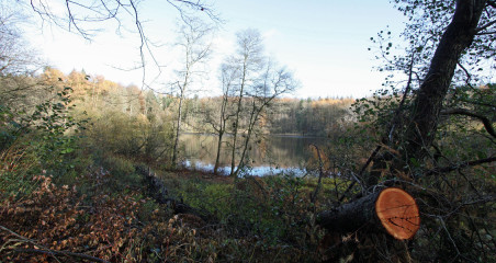 Naturpark Hüttener Berge