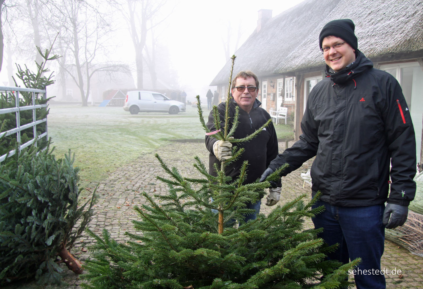 Weihnachtsbäume aus Sehestedt