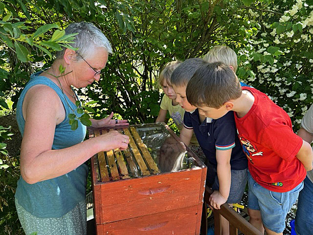 Im Kindergarten: Sommerfest mit Projektwoche