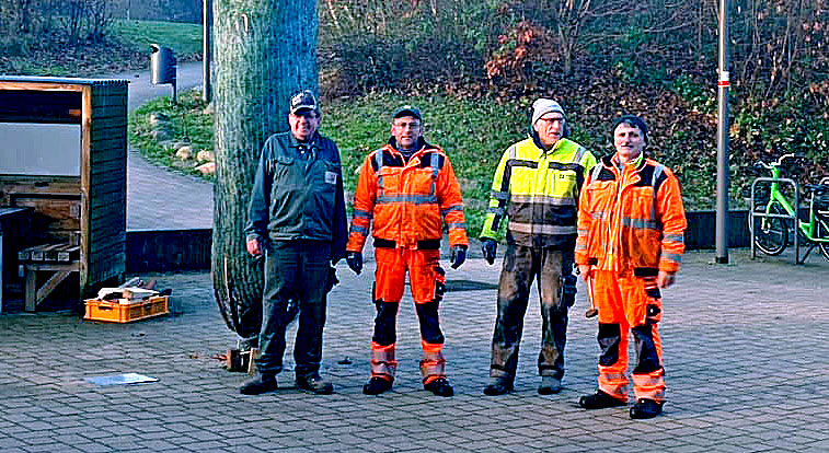 Der Gemeinde-Tannenbaum wird aufgestellt und angeleuchtet