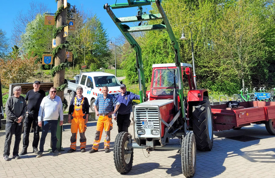 Zwölf Meter hoch: Der Maibaum steht!