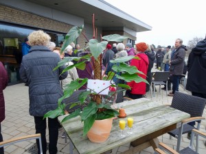 Menschen vor MarktTreff 