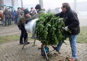 Weihnachtsbaum verpacken whe